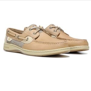 SPEERY BLUEFISH BOAT SHOE